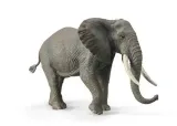 slon-afrykanski-collecta