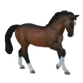 ogier-warmblood-stallion-bay-collecta