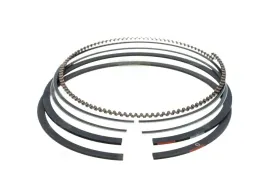 pierscienie-briggs-stratton-15-19-hp-791936-792506