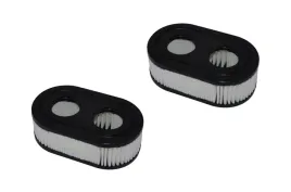 2x-filtr-powietr-briggs-bands-550e-593260-798452