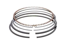 pierscienie-briggs-stratton-795690-795132-790909