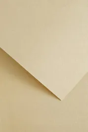 papier-ozdobny-wood-kremowy-20-arkuszy-220g-205612-galeria-papieru