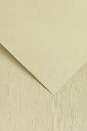 papier-ozdobny-oak-kremowy-20-arkuszy-230g-205902-galeria-papieru