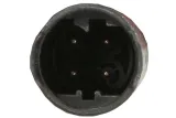 sonda-lambda-0258005310-bos-stan-nowy