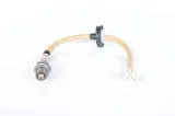 sonda-lambda-0258010236-bos-stan-nowy