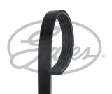 pasek-wieloklinowy-5pk925-gts
