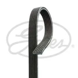 pasek-wieloklinowy-6dpk2184-gts