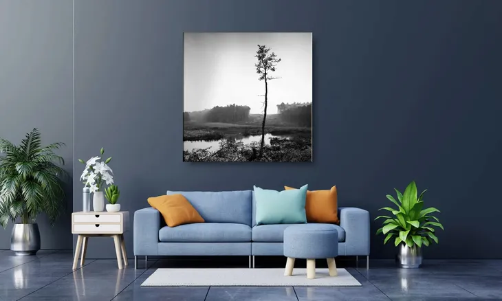 obraz-na-plotnie-093-sosna-40x40cm-format-poziomy