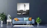 obraz-na-plotnie-093-sosna-40x40cm-format-poziomy
