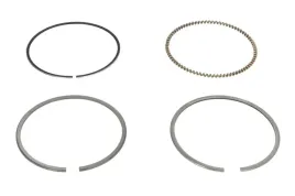 zestaw-pierscieni-tloka-01169n0-mah