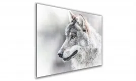 obraz-na-szkle-prostokatny-60x40cm-028-glowa-wilka