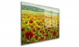 obraz-na-szkle-prostokatny-100x70cm-059-maki