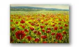 obraz-na-szkle-prostokatny-100x70cm-059-maki-stan-nowy