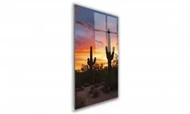 obraz-na-szkle-prostokatny-40x60cm-039-kaktus