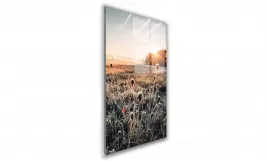 obraz-na-szkle-prostokatny-70x100cm-075-oset