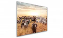 obraz-na-szkle-prostokatny-60x40cm-135-sawanna