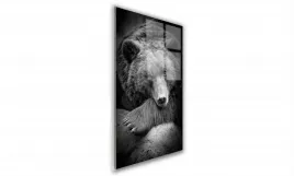 obraz-na-szkle-prostokatny-40x60cm-003-niedzwiedz