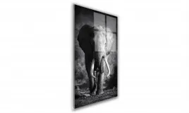 obraz-na-szkle-prostokatny-70x100cm-120-slon