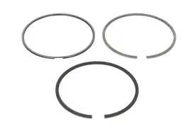 zestaw-pierscieni-tloka-01602n0-mah