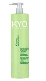 kyo-energy-system-reinforcing-shampoo-1000-ml