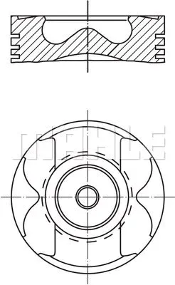 tlok-0222600-mah