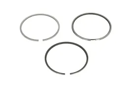 zestaw-pierscieni-tloka-02954n0-mah