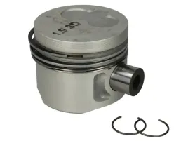 tlok-0298200-mah