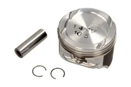 tlok-0308902-mah