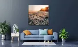 obraz-na-plotnie-075-oset-50x50cm-wysokosc-cm-41-50