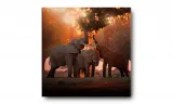 obraz-na-plotnie-092-slonie-50x50cm-stan-nowy