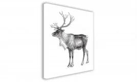 obraz-na-plotnie-030-graficzny-renifer-50x50cm