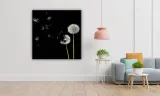 obraz-na-plotnie-015-dmuchawce-60x60cm-szerokosc-cm-51-60