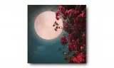 obraz-na-plotnie-049-ksiezyc-60x60cm-stan-nowy