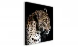 obraz-na-plotnie-051-lampart-60x60cm