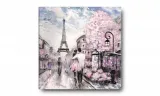 obraz-na-plotnie-080-paryz-60x60cm-stan-nowy