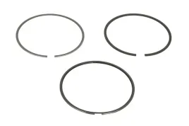 zestaw-pierscieni-tloka-039rs001010n0-mah