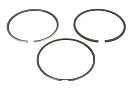 zestaw-pierscieni-tloka-039rs101010n0-mah