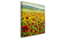 obraz-na-plotnie-059-maki-70x70cm