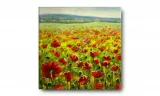 obraz-na-plotnie-059-maki-70x70cm-stan-nowy
