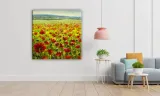 obraz-na-plotnie-059-maki-70x70cm-szerokosc-cm-61-70