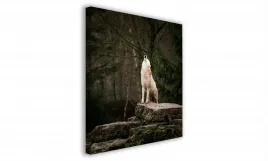 obraz-na-plotnie-111-wycie-wilka-70x70cm