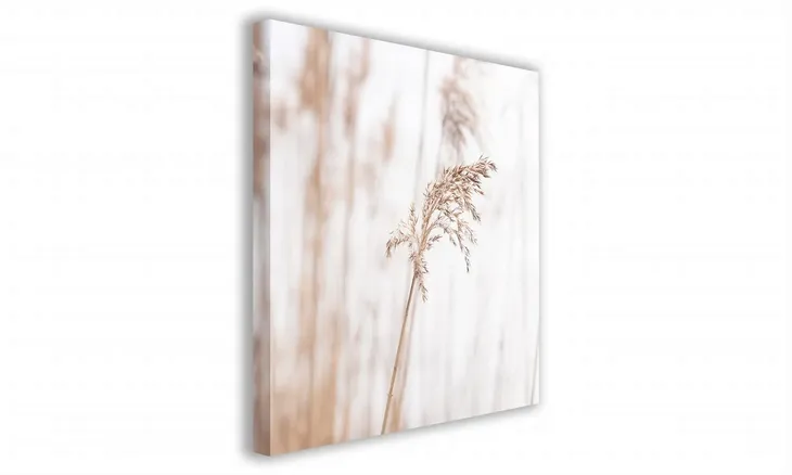 obraz-na-plotnie-127-zdzblo-70x70cm