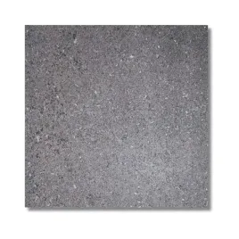 plytka-granitowa-plomien-black-pearl-60x60x2-cm