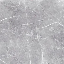 plytka-gresowa-etnos-grey-poler-60x60-cm