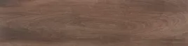 plytka-gresowa-arbaro-brown-120x30