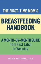 the-first-time-mom-s-breastfeeding-handbook