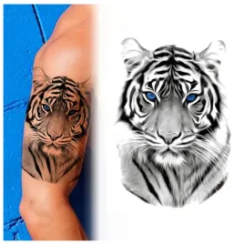 tatuaz-tygrys-niebieskie-oczy-zmywalny-tymczasowy-wodny
