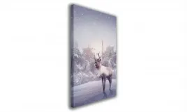 obraz-na-plotnie-087-renifer-20x30cm