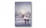obraz-na-plotnie-087-renifer-20x30cm-stan-nowy