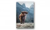 obraz-na-plotnie-048-krowka-40x60cm-stan-nowy